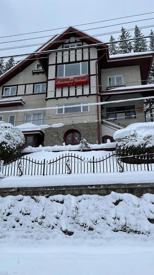 Vila Gabriel Sinaia Exteriör bild