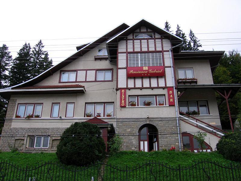 Vila Gabriel Sinaia Exteriör bild
