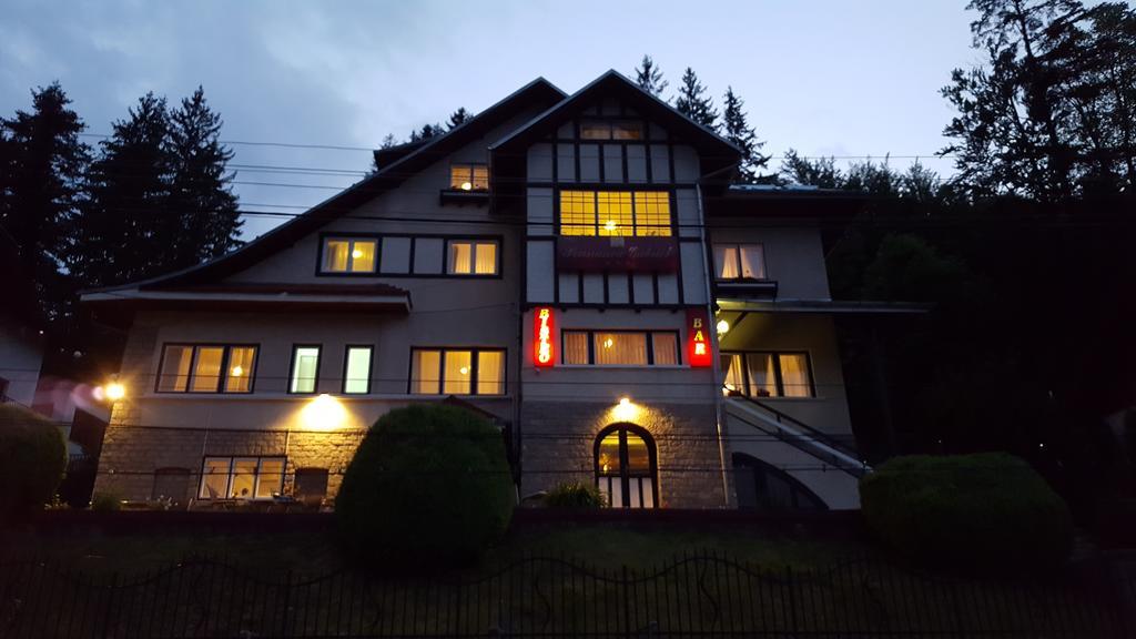 Vila Gabriel Sinaia Exteriör bild