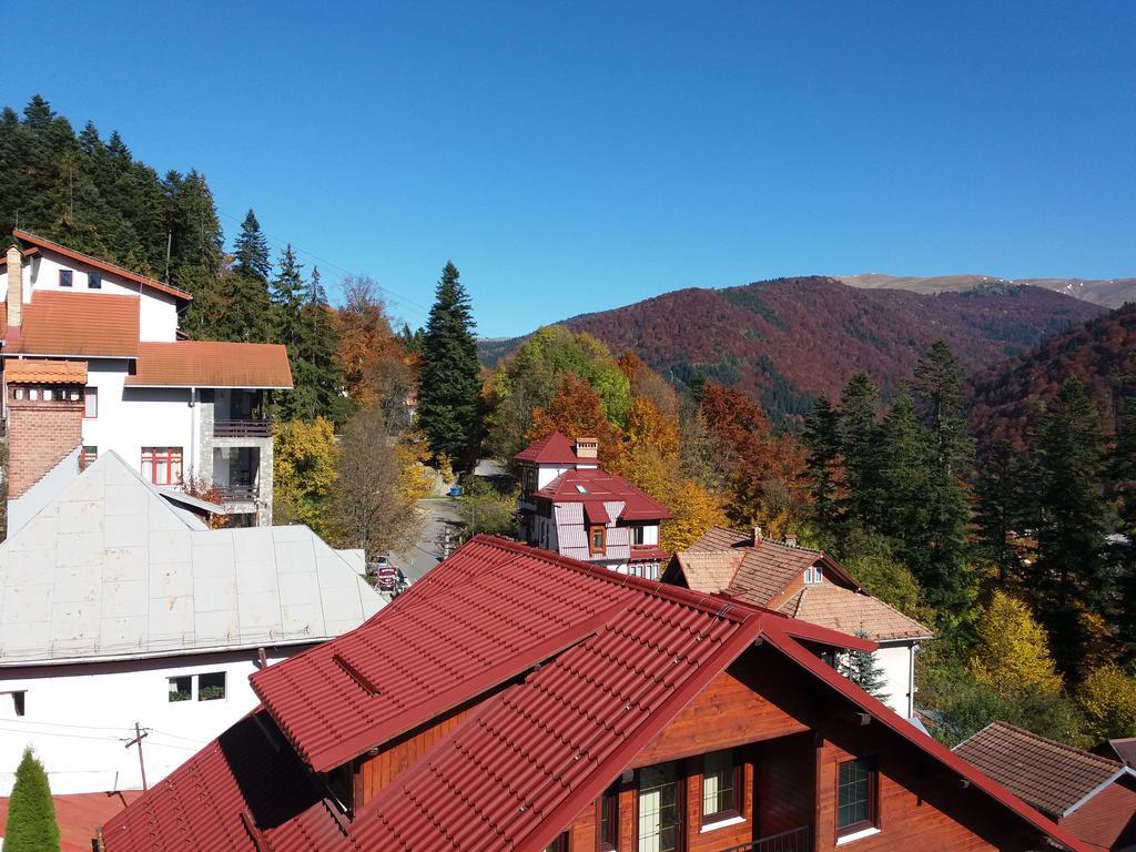 Vila Gabriel Sinaia Exteriör bild