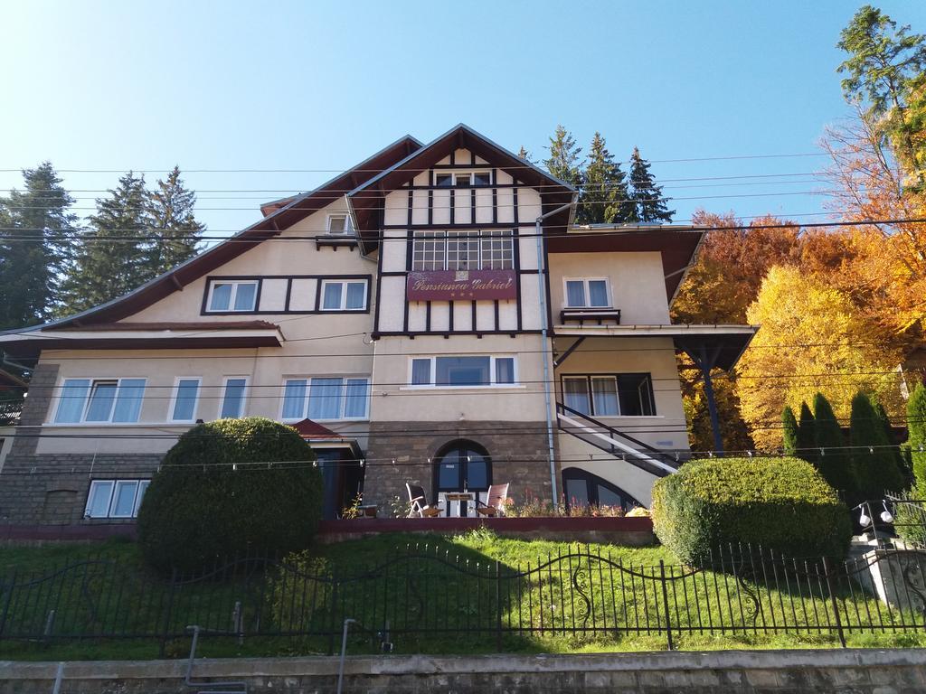 Vila Gabriel Sinaia Exteriör bild