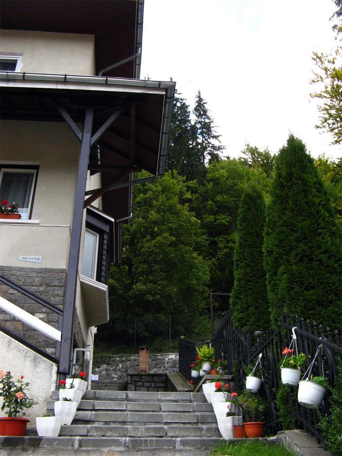 Vila Gabriel Sinaia Exteriör bild