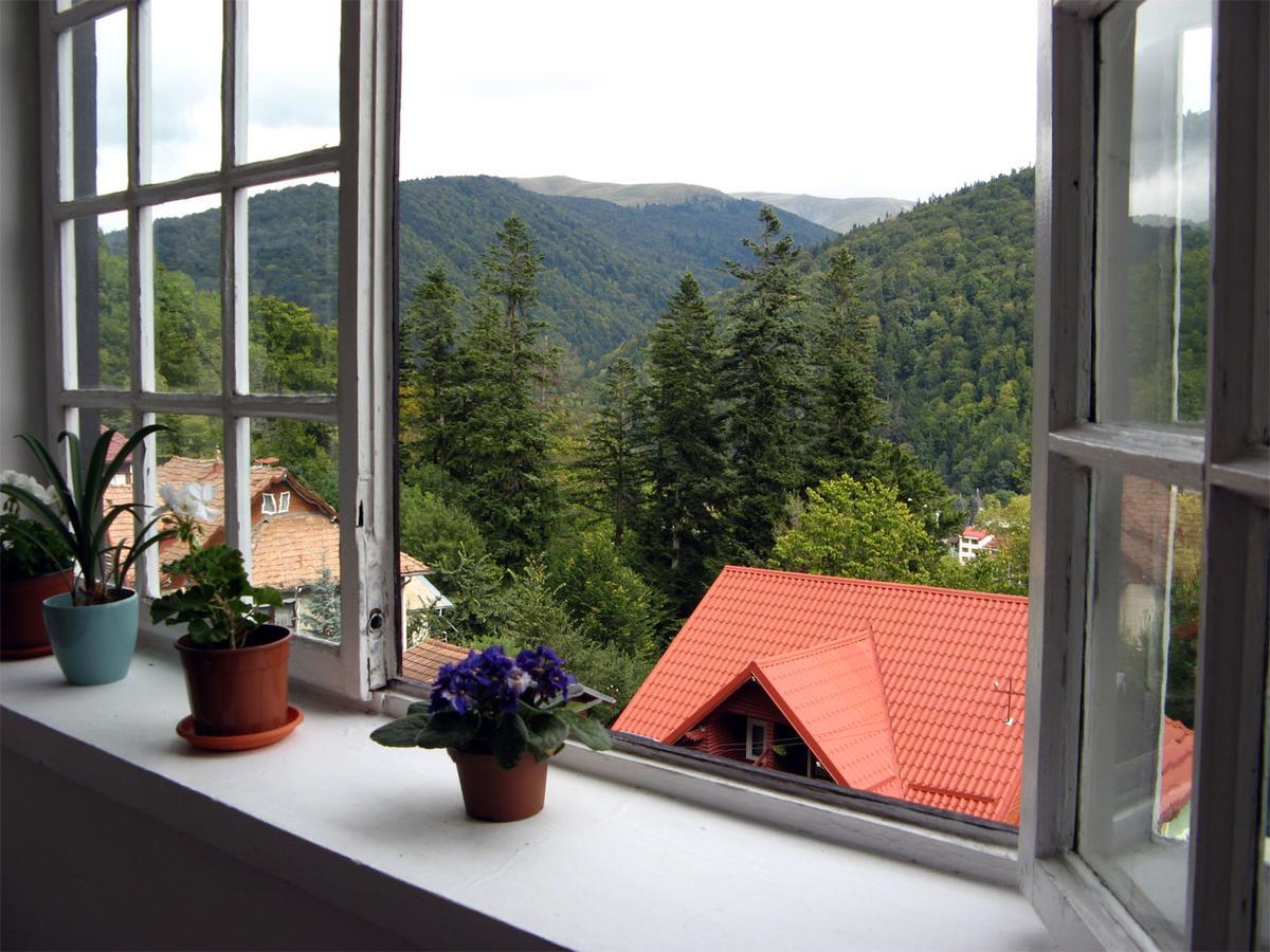 Vila Gabriel Sinaia Exteriör bild