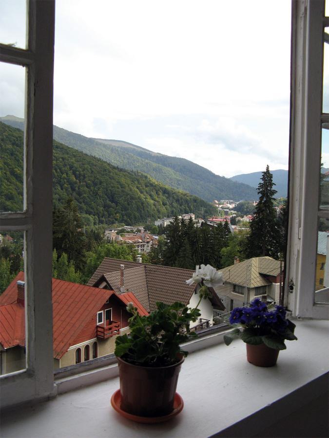 Vila Gabriel Sinaia Exteriör bild