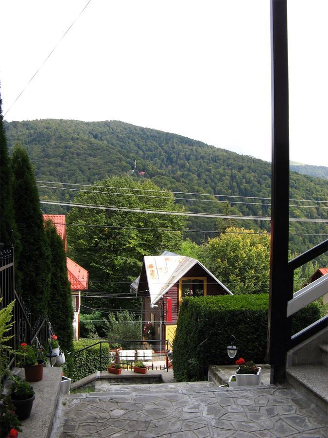 Vila Gabriel Sinaia Exteriör bild