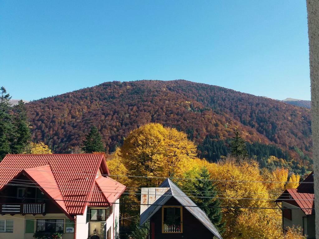Vila Gabriel Sinaia Exteriör bild