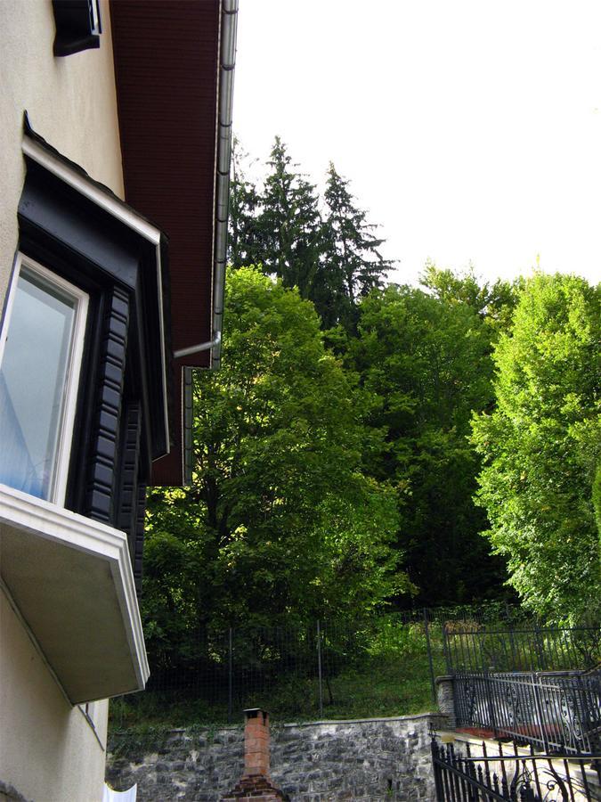 Vila Gabriel Sinaia Exteriör bild